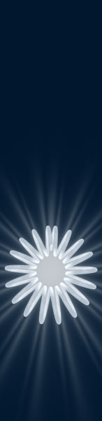 Get Adobe Flash player